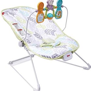 Fisher-Price Baby's Bouncer, Green/Blue/Grey (DTG94)