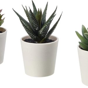 IKEA Fejka Artificial Potted Plant with Pot Indoor Outdoor Succulent / 3 Pack Size 2 ¼ " 3 Pack 203.953.31