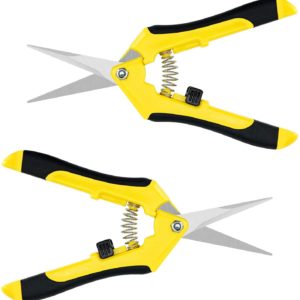 iPower GLPRNR6X2 6.5 Inch Gardening Hand Pruner Pruning Shears Trimming Scissors with Straight Stainless Steel Blades for Bonsai, Herb, Bud, Hedge, 2-Pack, Yellow